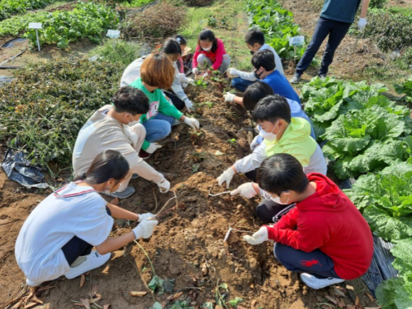 광주시농업기술센터, 학생들을 위한 ‘학교·유치원·특수학교 치유텃밭 프로그램’ 운영