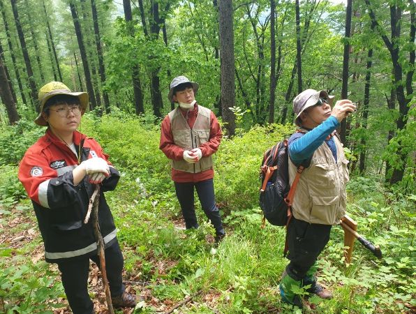 국유림경영계획 수립을 위한 직영산림조사 착수
