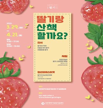 인천시, 로컬푸드'딸기'전시 개최