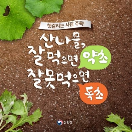 산림청 ⓒ타임즈