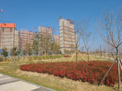시흥시, K-골든코스트에 '서해안 녹지벨트'를 더하다