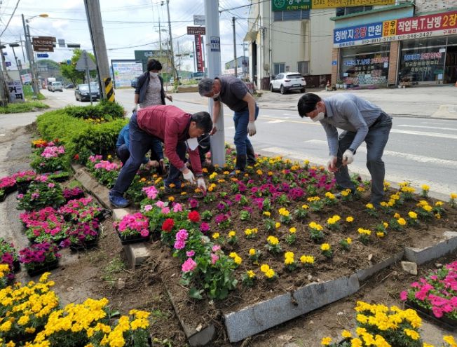광주시 도척면, 화사한 봄꽃을 입다 ⓒ타임즈