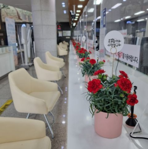 광주시, 세무민원실에 ‘카네이션 꽃’ 장식 ⓒ타임즈