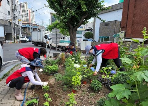 광주시 역동마을주민협의체, 마을환경 개선을 위한 화단 조성