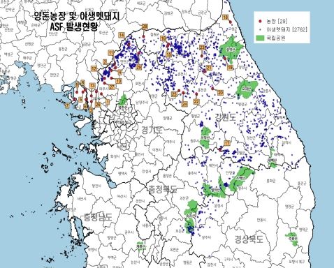 아프리카돼지열병 발생현황 지도