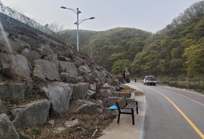 수목 제거 후