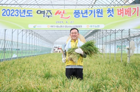 여주시 대왕님표 여주쌀 풍년기원 2023년 첫 벼베기 실시