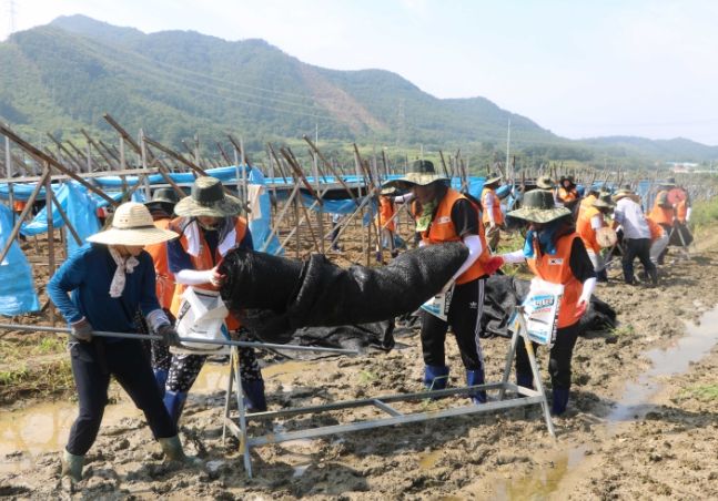 청양군 수해복구 자원봉사활동