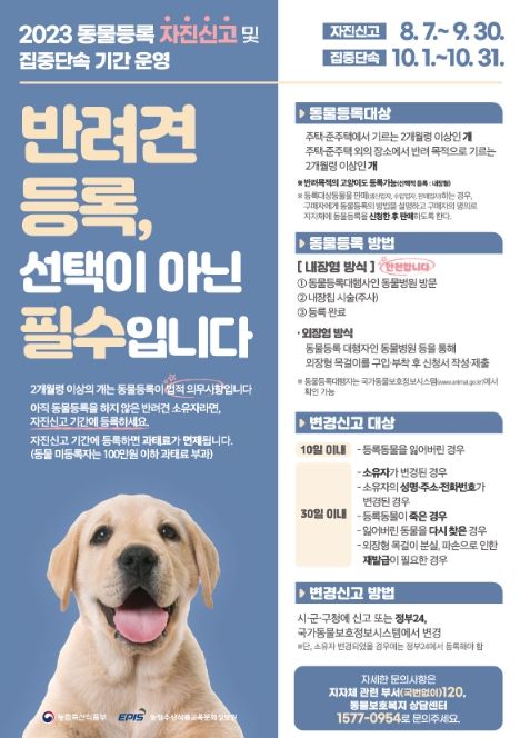 동물등록 자진신고 포스터