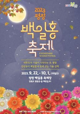 풍성한 가을의 시작, 천만송이 백일홍과 함께 걷는 “2023 평창백일홍축제 개막”