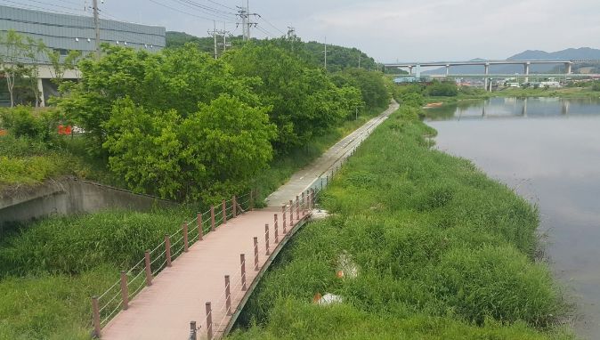 수변구역으로 지정돼 있는 포곡읍 일대