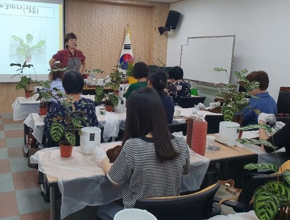 광주시, 시민과 함께하는 반려식물 교육 추진