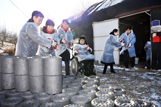 사랑의 연탄 나눔 봉사활동을 하는 의원들