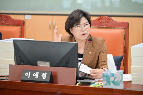 이애형 경기도의원