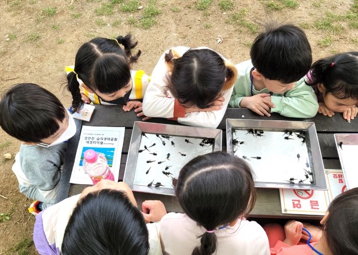 광주시지속가능발전협의회, 상반기 유아 숲 체험 성료