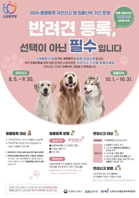 반려견 동물등록 필수…안양시, 9월 말까지 자진신고 기간 운영