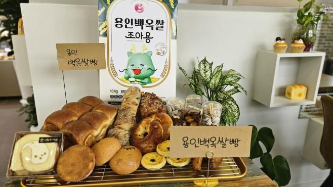 용인특례시 '백옥쌀가루'로 만든 빵