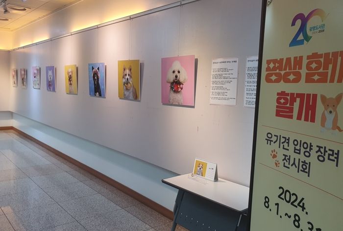 광명시 광명도서관, 아트갤러리 전시회 류수민, 유창호 작가전 운영