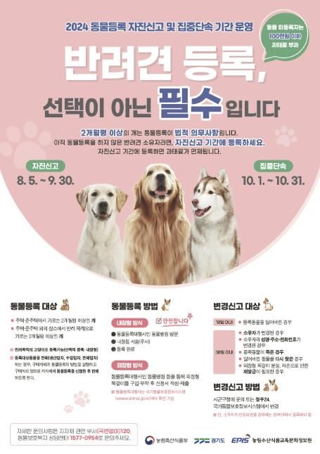 용인특례시 동물등록 안내 포스터