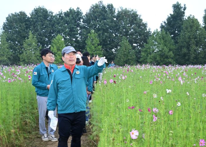 구리시, 2024 구리 코스모스 축제 현장 점검