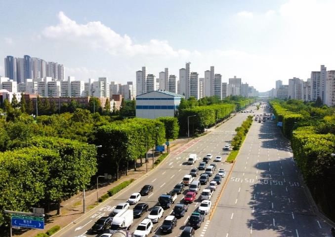 푸른빛 물든 송내대로 가로수(부천시)