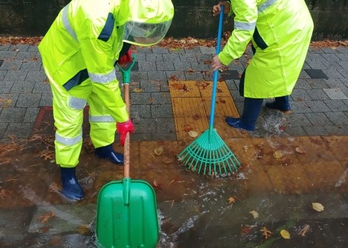 고양시 일산동구, 낙엽 청소로 쾌적한 도시 환경 조성