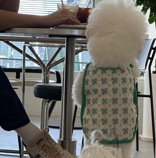 반려동물 동반출입 음식점