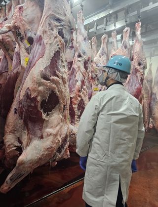 설 명절을 앞두고 축산물 생산단계부터 위생관리 강화