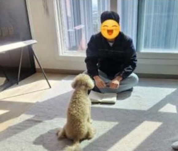 경기도가 입양동물 행동교정 지원을 수행할 민간 사업자를 모집합니다