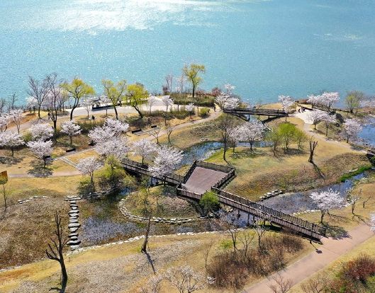 남양주시,‘ 다산 정약용 브랜드 파워 도시 ’조성 본격 시동