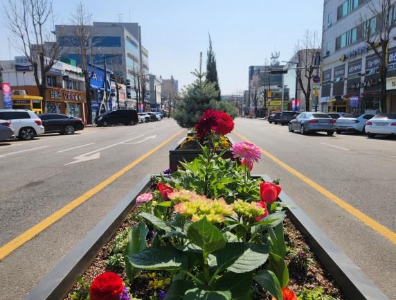 여주시 봄맞이 세종로 중앙화단 새 단장...2025 여주 관광 원년 맞아 세종로 화단 꽃단장