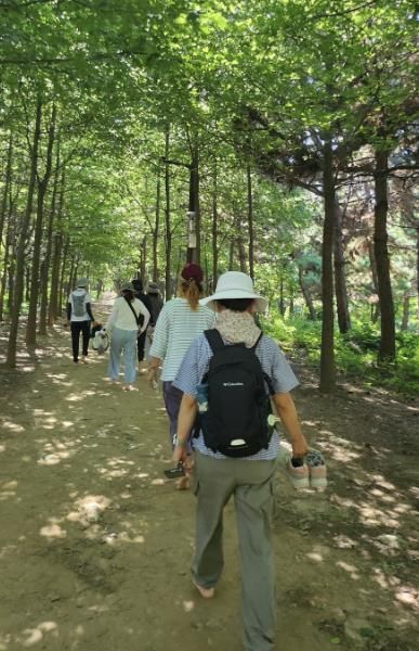 '함께 걸어요! 시흥시 늠내길' 트레킹 프로그램 4월부터 본격 운영