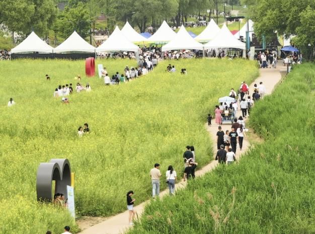 2024 창릉천 유채꽃 축제