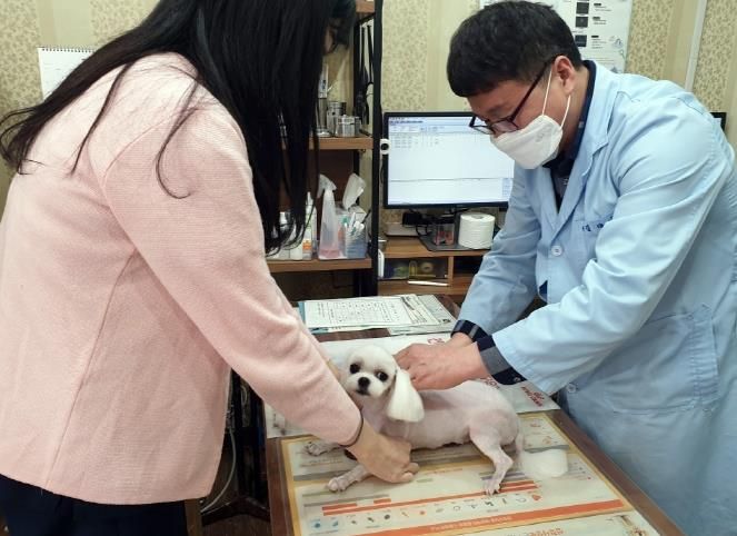 의정부시, 2025년 상반기 광견병 예방접종 지원사업 실시