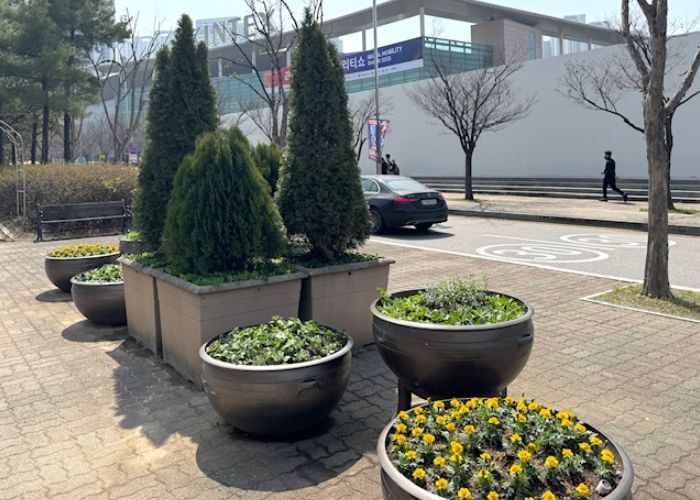 킨텍스 주변 가로변 꽃박스 설치