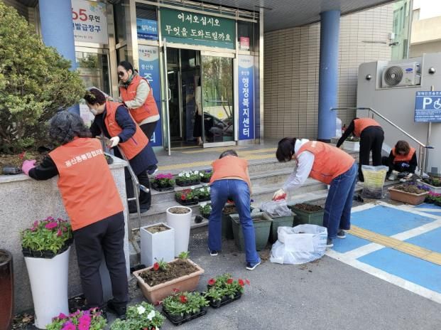고양시 풍산동 새봄맞이 초화 식재, 아름다운 마을환경 조성