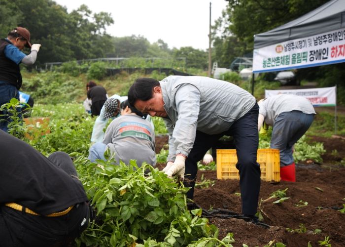 주광덕 남양주시장, 장애인과 함께 하지 감자 캐기 체험