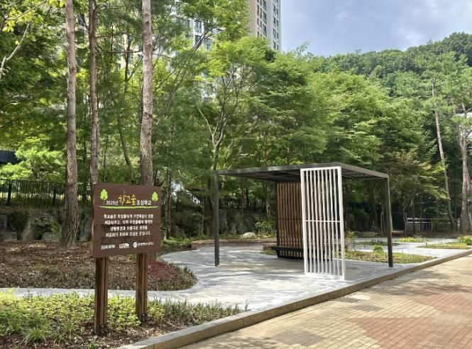 용인한빛초에 조성한 학교숲 모습