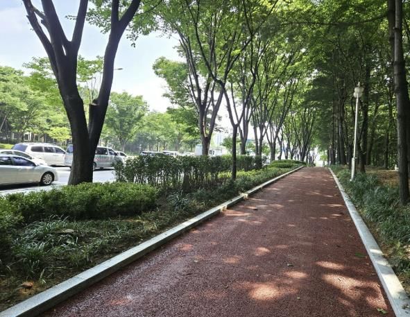 백마로 미세먼지 저감 도시숲 사업지