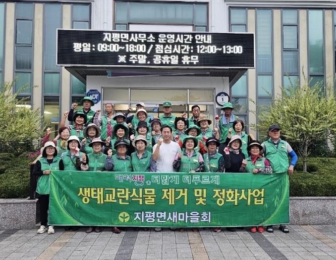 양평군 지평면 새마을회, 생태계 교란식물 가시박 집중 제거 활동 성공적 마무리