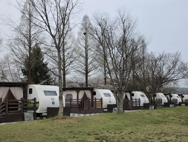 파주 공릉관광지 캠핑장 전경