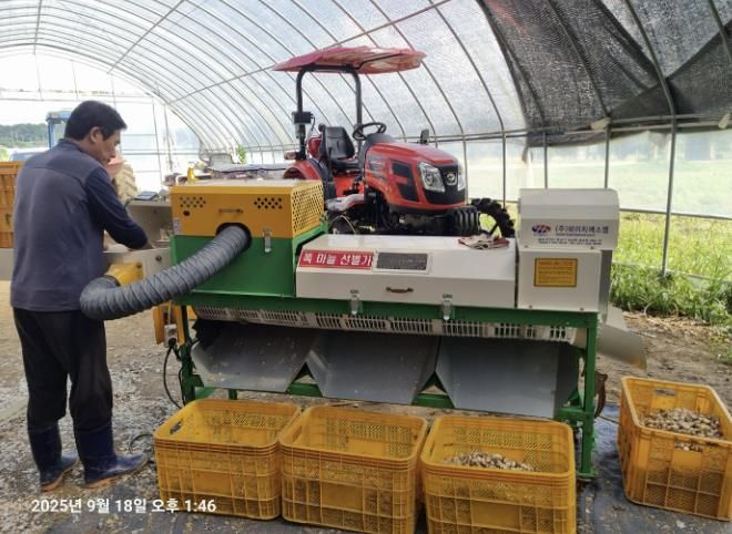 마늘 수확 지원 장비(마늘쪽 분리기)