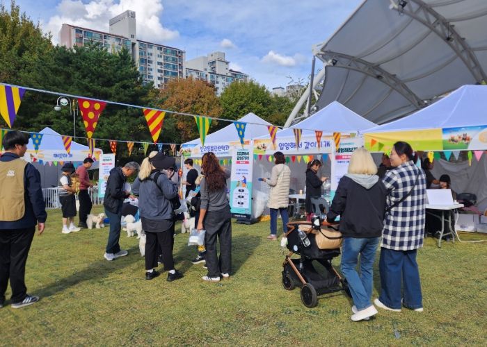 많은 시민이 참여한 가운데 반려견 미니운동회를 진행하고 있다.