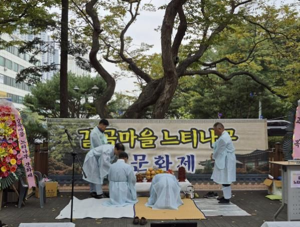 용인특례시 갈곡마을 느티나무 문화제