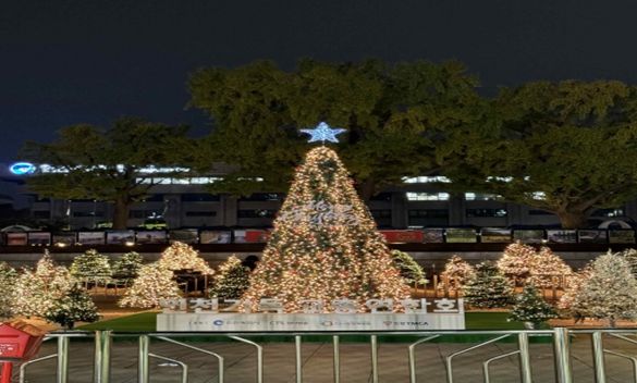 2024년 성탄트리