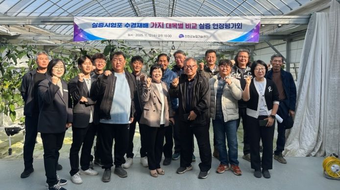 진천군, 수경재배 가지 대목 비교 현장평가회