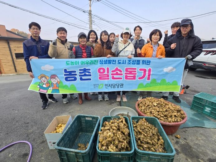 청주시 인사담당관, 김장철 맞아 생강 농가 일손 돕기