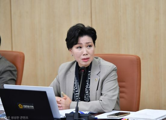 서울시의회 최재란 의원