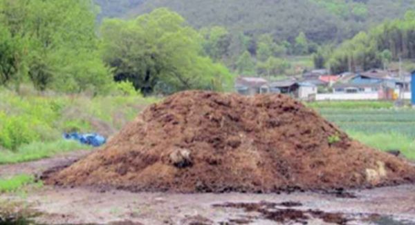 불법 야적퇴비 지도·점검 실시