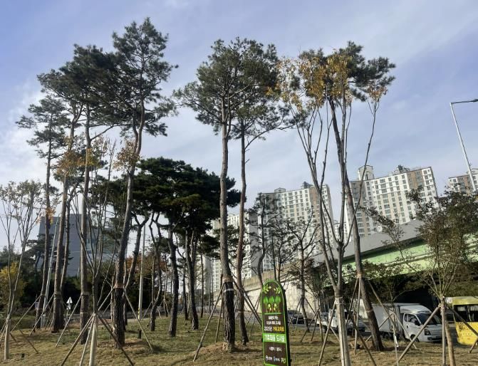 청주시, 도시숲 조성 2개소서 완료… 열섬완화‧미세먼지 저감 기대